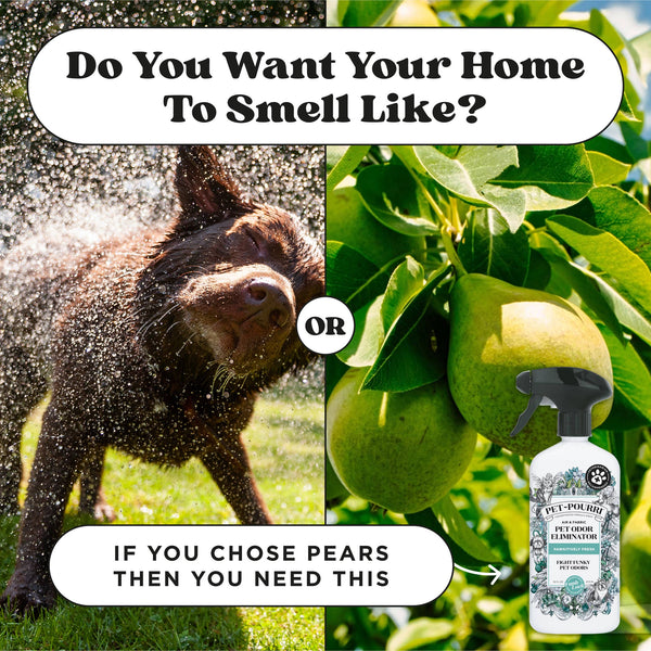 Pet Pourri Pawsitively Fresh Air+Fabric Odor Refresher 16oz