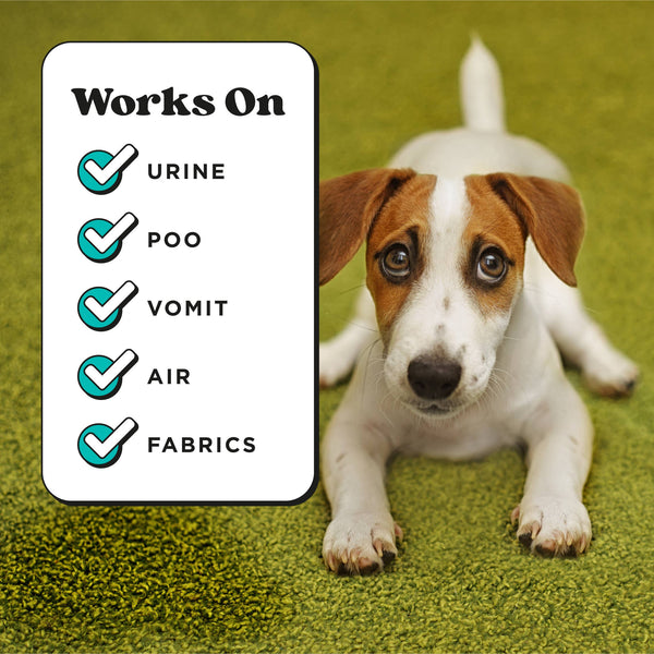 Pet Pourri Pawsitively Fresh Air+Fabric Odor Refresher 16oz