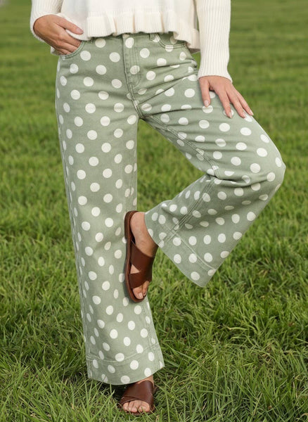 Polka Dot Straight Leg Cotton Denim Span Pants VP83369B: Brown / S